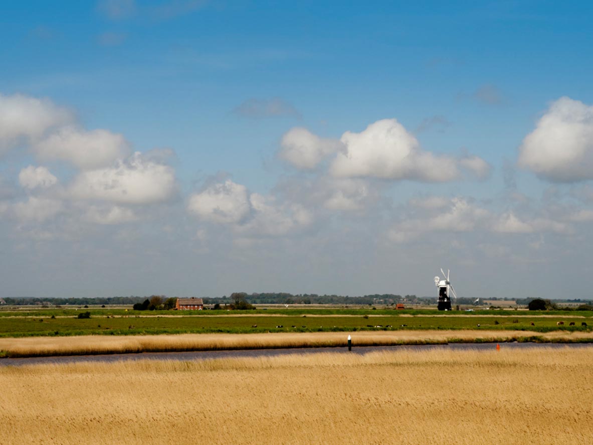 Norfolk and Waveney ICB